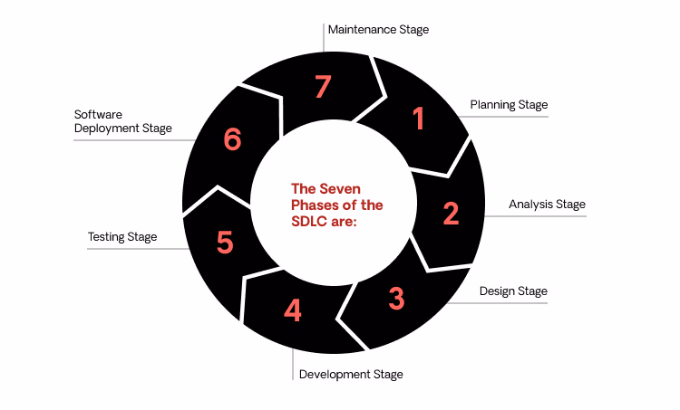 seven stages of the software development lifecycle