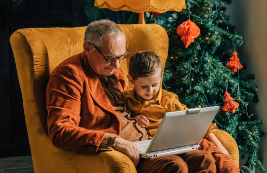 citizens accessing portals and apps